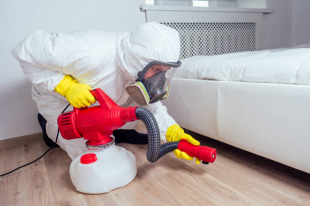 Best Wasp Removal Services  in Tangelo Park, FL
