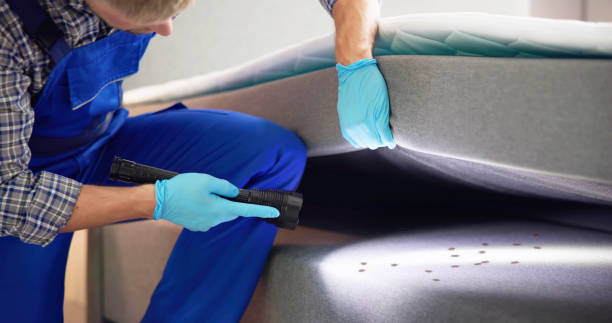 Best Pest Prevention Services  in Tangelo Park, FL
